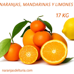Caja de Naranjas de Mesa (15 kg) y 1 kg de Limones